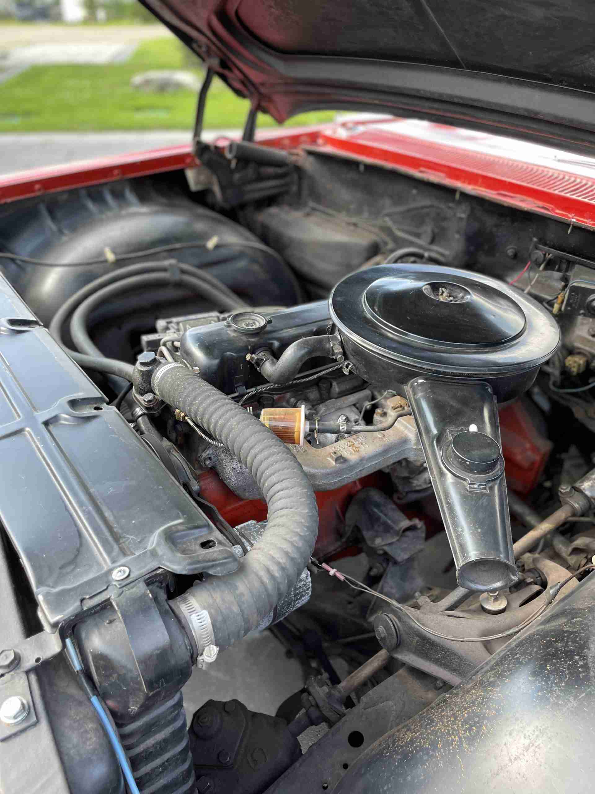 1965 Volkswagen Beetle